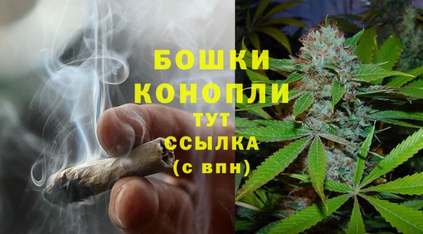 PSILOCYBIN Арсеньев